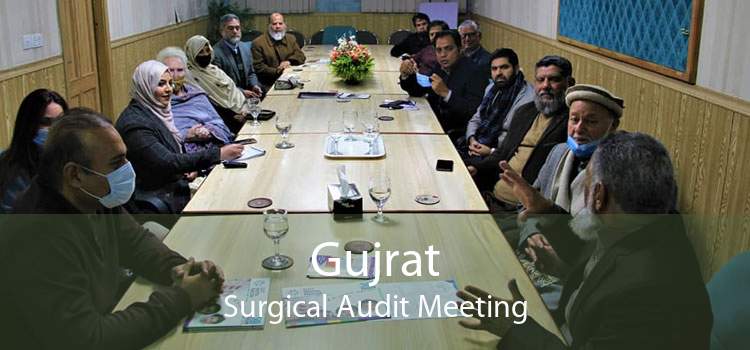 Gujrat Surgical Audit Meeting