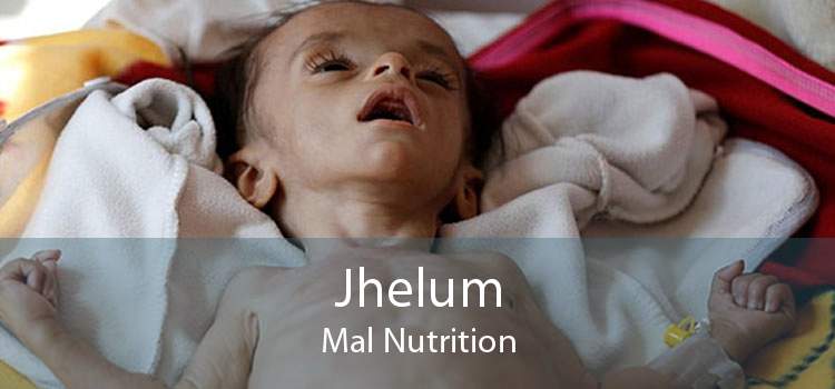 Jhelum Mal Nutrition