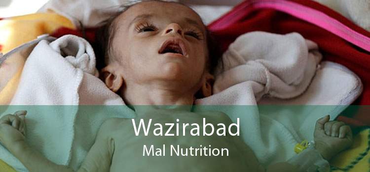 Wazirabad Mal Nutrition