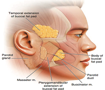 buccal-procedure