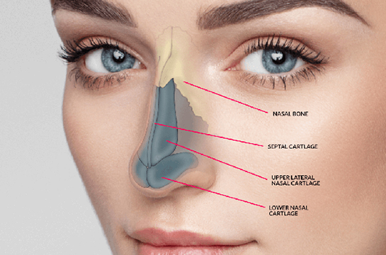 Nose Surgery